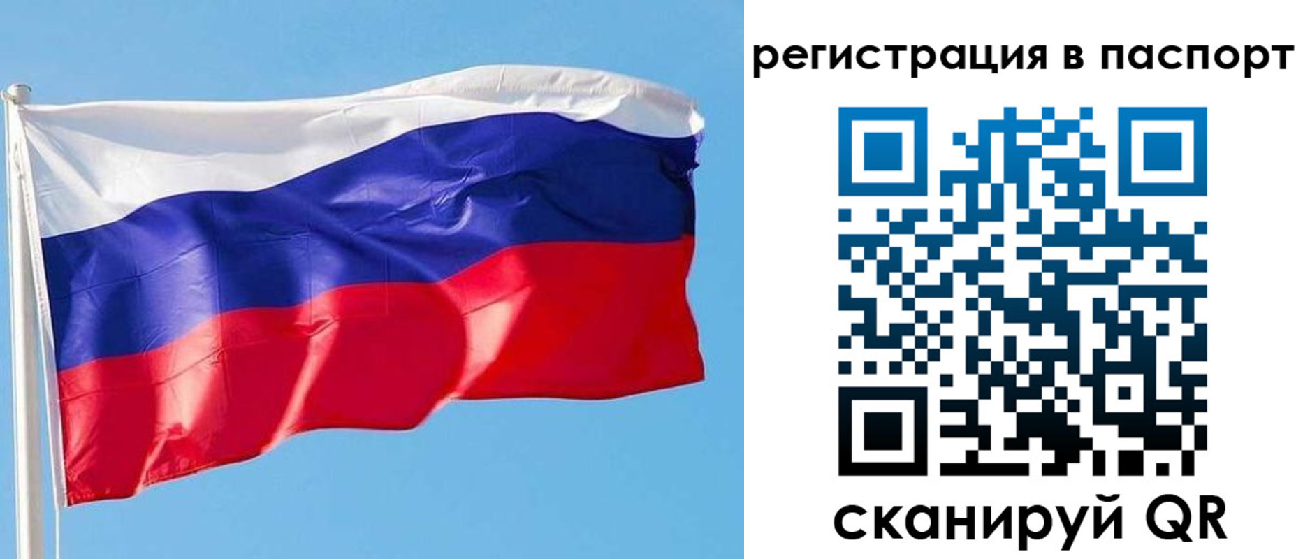 прописка законно в Сосенском